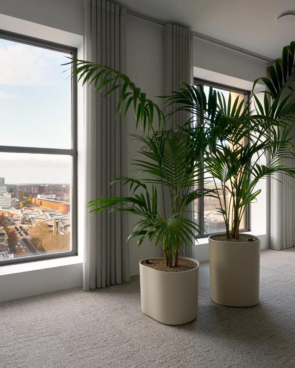 Ege tapijt Reform Transition Seed Light Grey in hoek met kentia-palmen